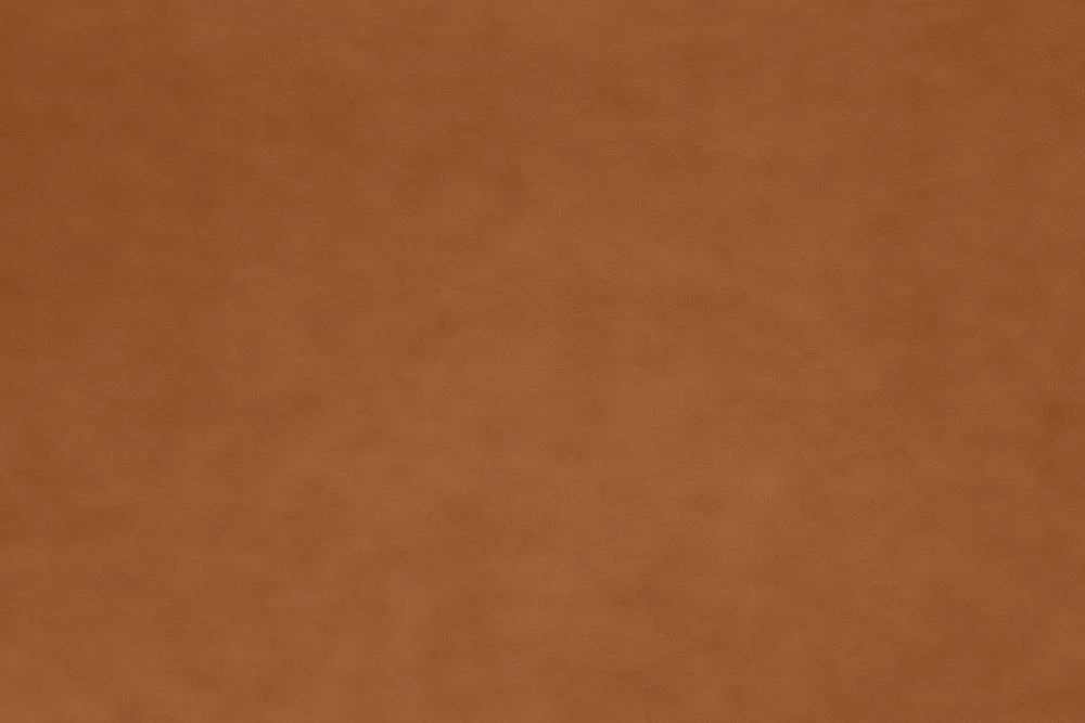 Thumbnail 29