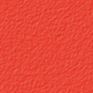 Thumbnail 30