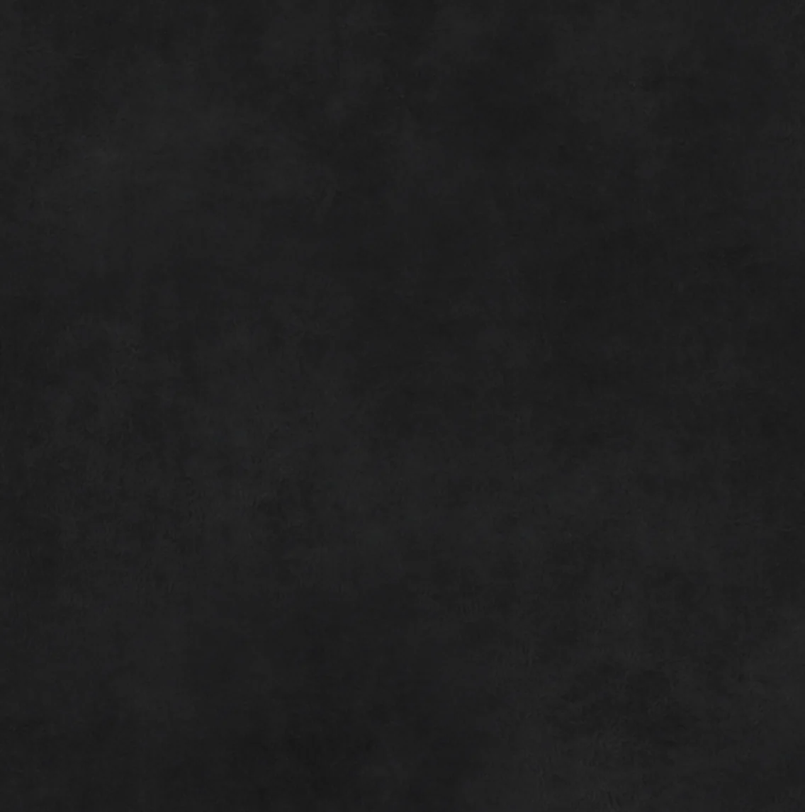 Thumbnail 19