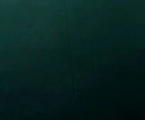Thumbnail 20